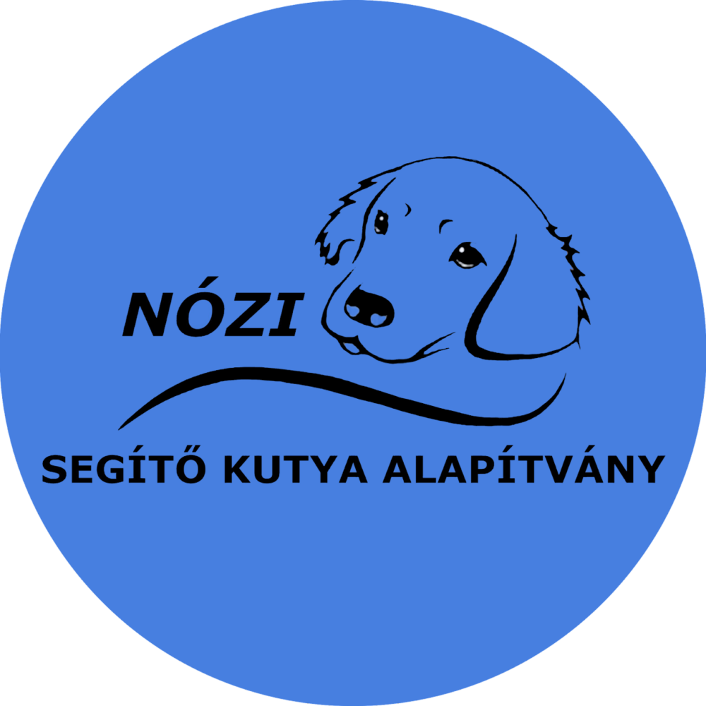 cropped-cropped-cropped-nozi-kor-logo-1